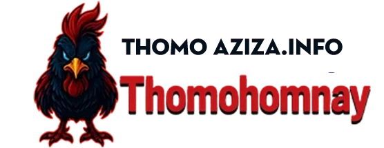 Thomohomnay | TRỰC TIẾP ĐÁ GÀ THOMO HÔM NAY
